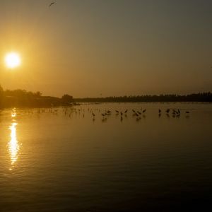   Barra De Potosi