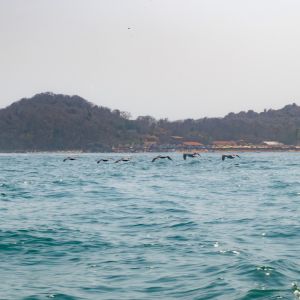   Isla Ixtapa Island