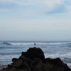   Playa Troncones