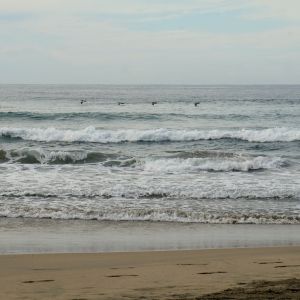   Playa Troncones
