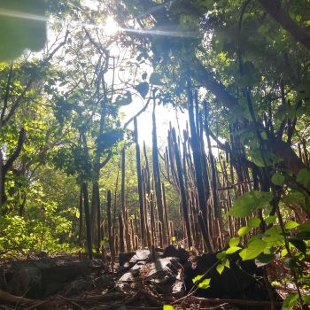 Hiking in Ixtapa Zihuatanejo 