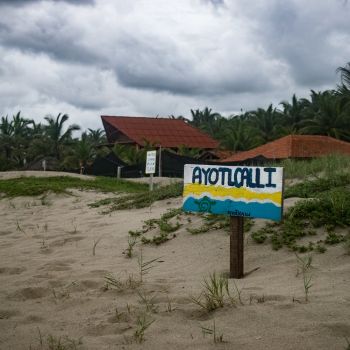 Ayotlcalli Turtle Camp Zihuatanejo