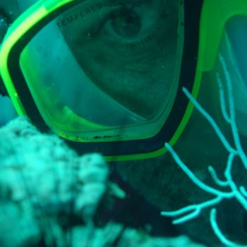 Snorkeling in Ixtapa Zihuatanejo