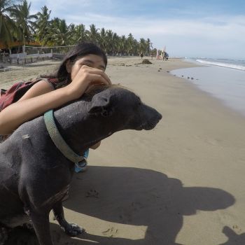Playas Amigas de las Mascotas en Zihuatanejo
