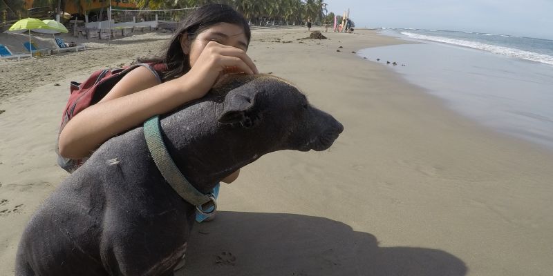 Lasaladita Petfriendly 