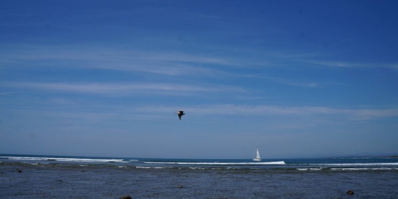 Playa La Saladita Guerrero 