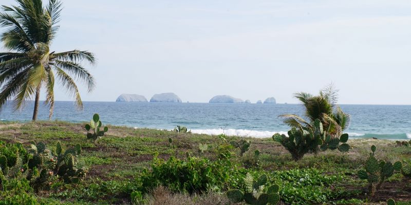 Playa Blanca Ixtapa 