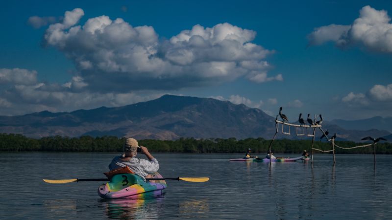 Birdwatching Zihuatanejo   