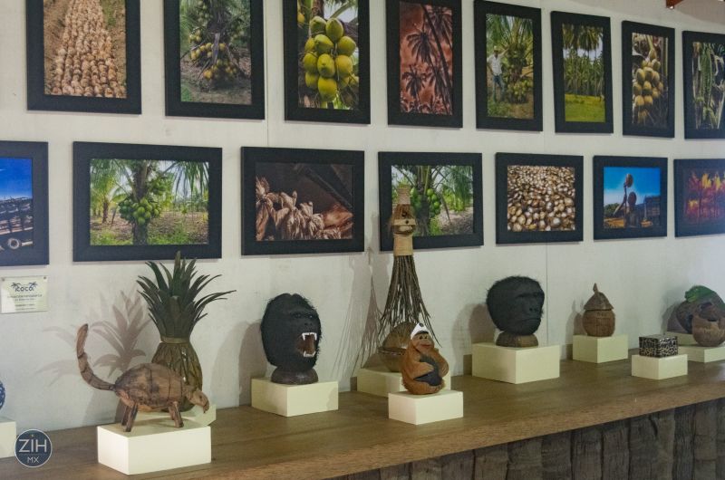 El Museo Del Coco Area 